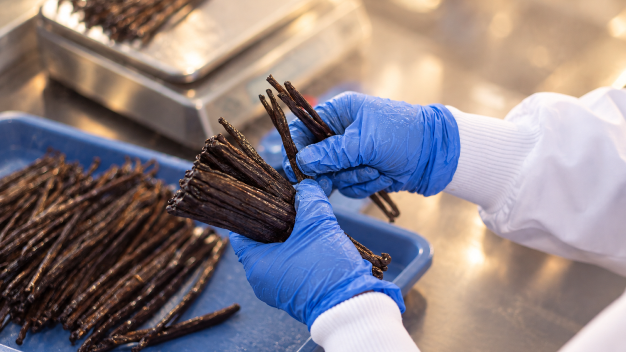 Vanilla pods handled during food production
